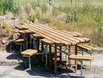 Beth Chatto's Meanwhile Garden