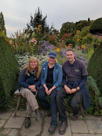 Weekly catch up with garden and propagation