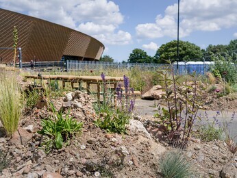 Beth Chatto's Meanwhile Garden