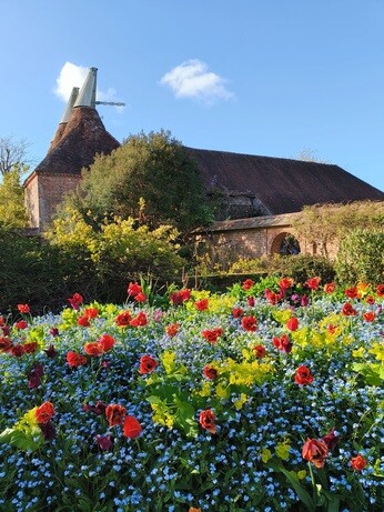 My year as a trainee at Beth Chatto's Plants & Gardens