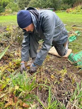 Weekly catch up with garden and propagation