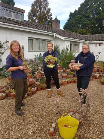 Weekly catch up with garden and propagation