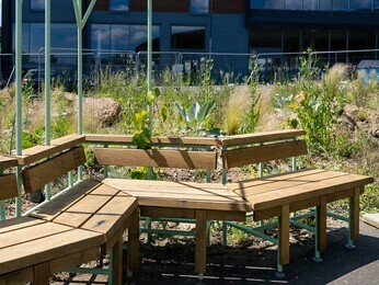 Beth Chatto's Meanwhile Garden