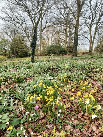 My year as a trainee at Beth Chatto's Plants & Gardens