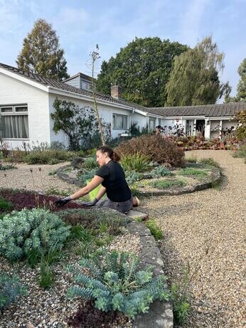 Weekly catch up with garden and propagation