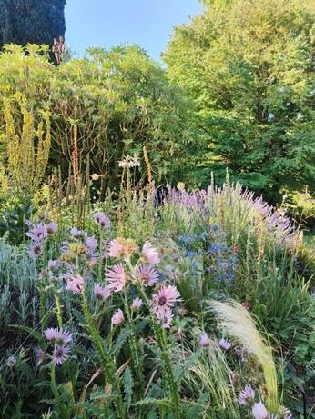 My year as a trainee at Beth Chatto's Plants & Gardens
