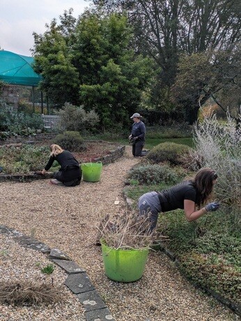 Weekly catch up with garden and propagation