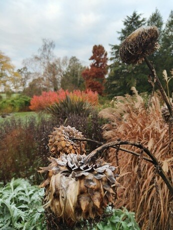 My year as a trainee at Beth Chatto's Plants & Gardens