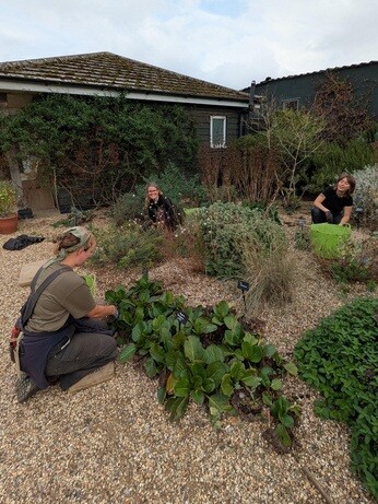 Weekly catch up with garden and propagation