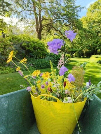 My year as a trainee at Beth Chatto's Plants & Gardens