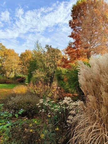 My year as a trainee at Beth Chatto's Plants & Gardens