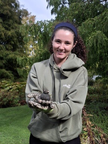 Weekly catch up with garden and propagation