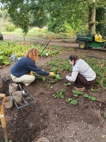 Weekly catch up with garden and propagation