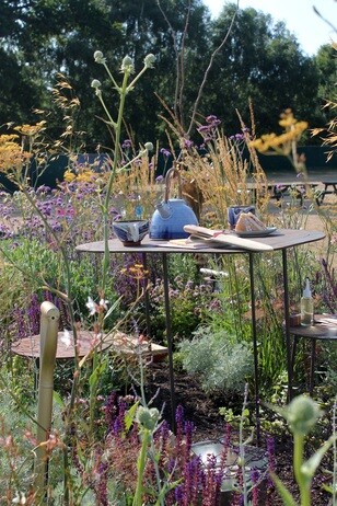 My year as a trainee at Beth Chatto's Plants & Gardens