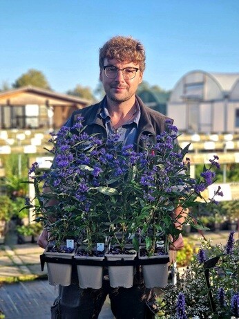 Weekly catch up with garden and propagation