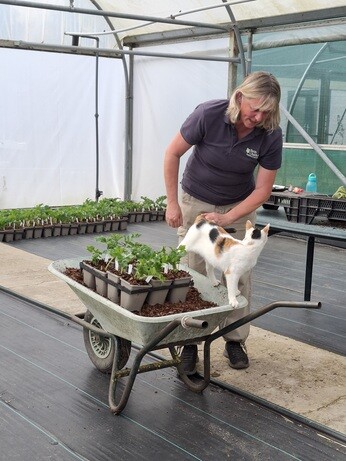 Weekly catch up with garden and propagation