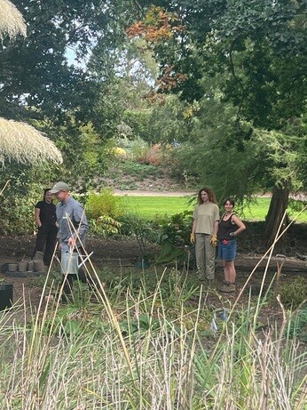 Weekly catch up with garden and propagation