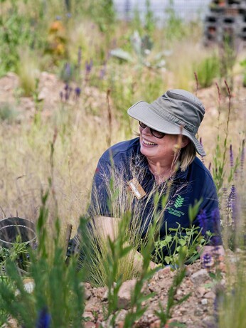 Beth Chatto's Meanwhile Garden