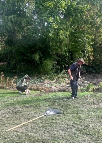 Weekly catch up with garden and propagation