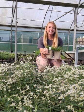 Weekly catch up with garden and propagation