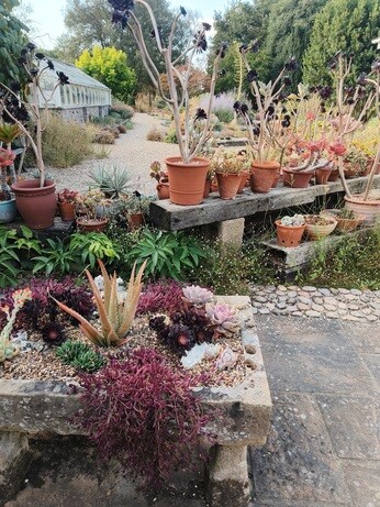 My year as a trainee at Beth Chatto's Plants & Gardens
