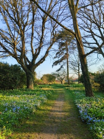 My year as a trainee at Beth Chatto's Plants & Gardens