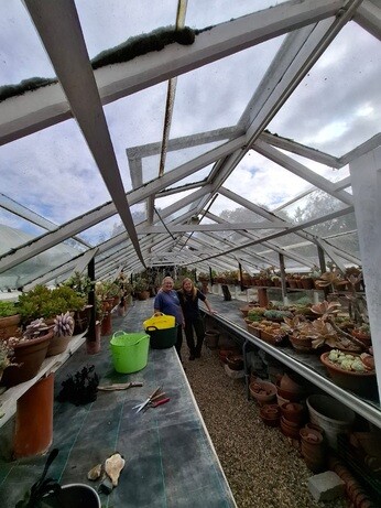Weekly catch up with garden and propagation
