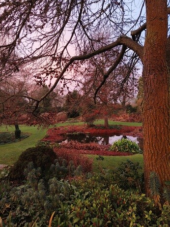 My year as a trainee at Beth Chatto's Plants & Gardens