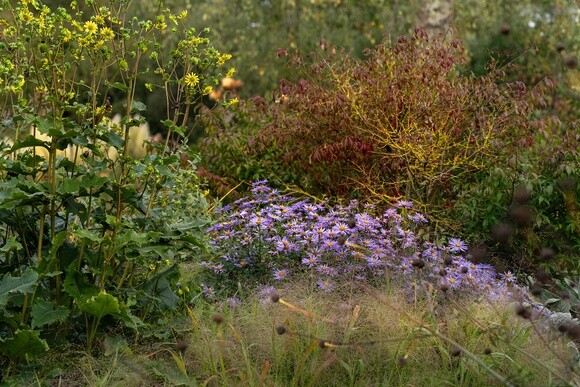 Wild Words from the Ground - September