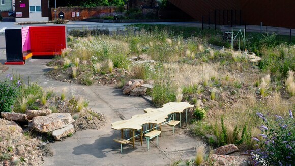 Beth Chatto's Meanwhile Garden
