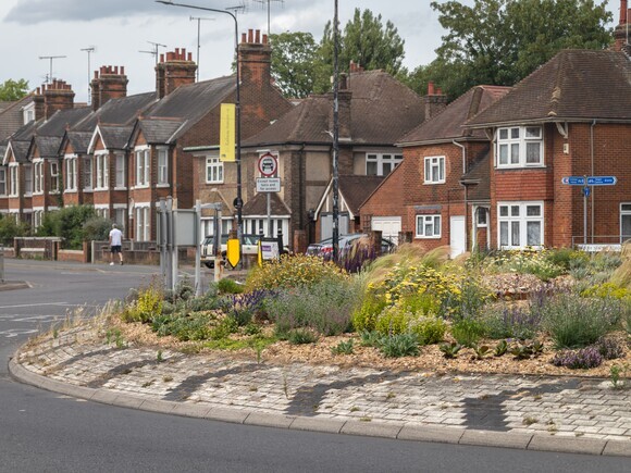 Planting on the Albert roundabout