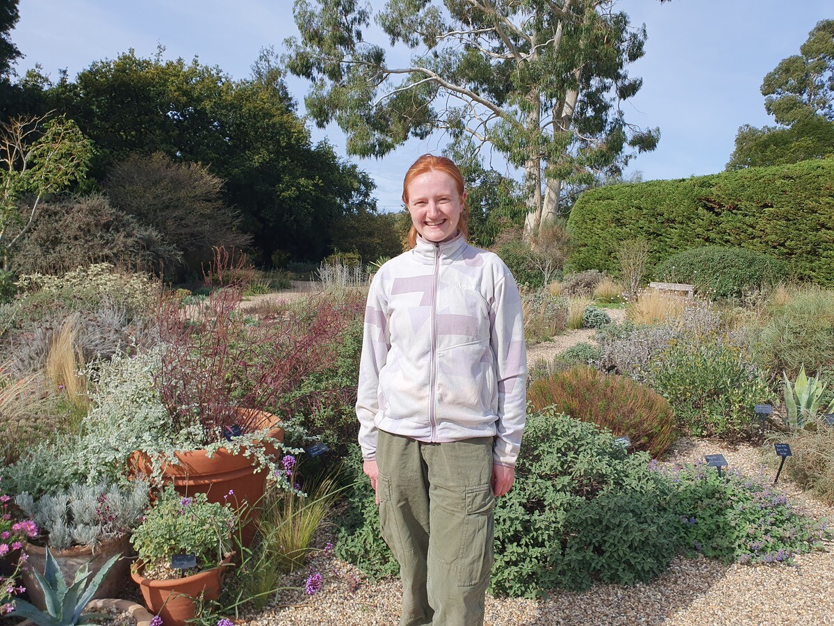 My year as a trainee at Beth Chatto's Plants & Gardens