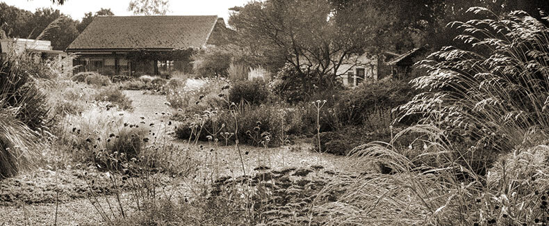 Beth Chatto's Plants & Gardens 
